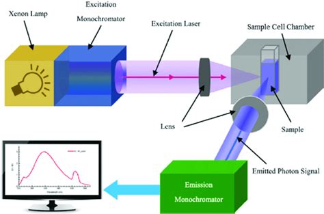 difference between fluorometer and spectrofluorometer|fluorescent light through a spectrometer.